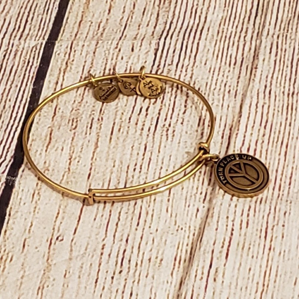 3 for $25 Alex and Ani Turn Peace Up Adjustable Bangle